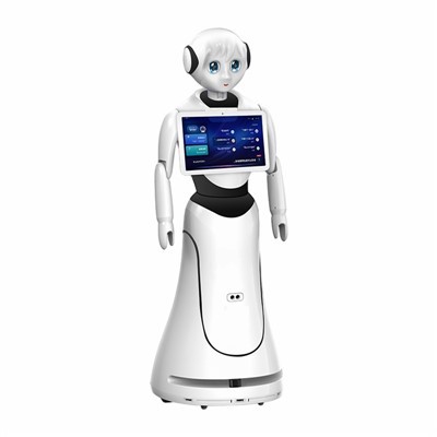 Empfangsroboter