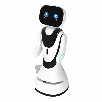 Roboter in Bibliotheken